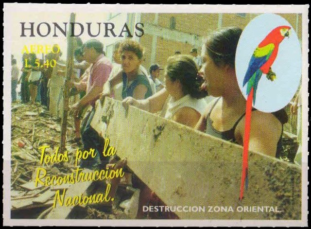 HONDURAS 1999-People Carring Plank in Eastern Zone, Peacock, 1 Value, MNH, S.G. 1492