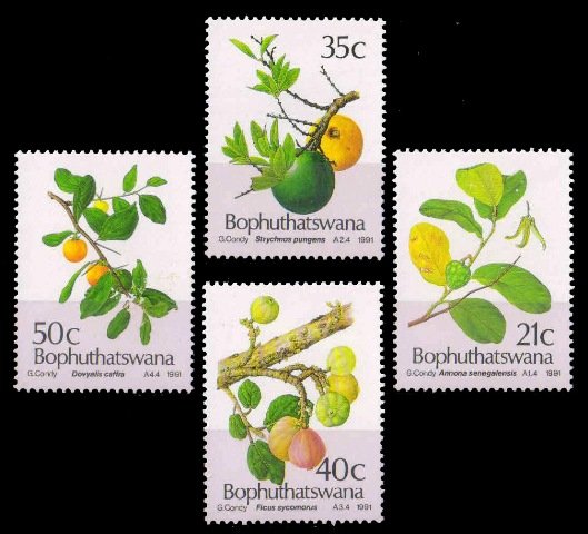 BOPHUTHATSWANA 1991-Edible Wild Fruit, Apple & Oranges, Set of 4, MNH, S.G. 252-255