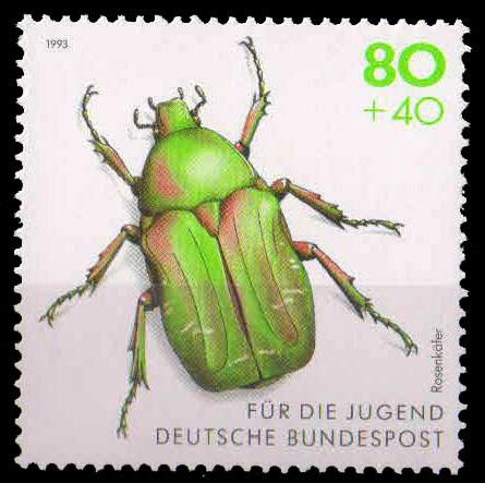 Germany 1993, Rose Chafer, Youth Welfare, Endangered Beetles, 1 Value, MNH, S.G. 2512
