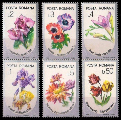 ROMANIA 1986-Garden Flowers, Flora, Plants, S.G. 5045-5050-Set of 6, MNH, Cat � 5.50-