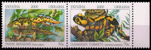UKRAINE 2000-Endangered Amphibians, Flora & Fauna, Se-tenant Pair-MNH, S.G. 343-344
