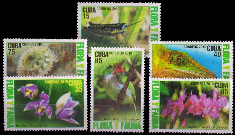 CUBA 2010-Flora & Fauna, Set of 6, Flowers, Cricket, Lizards, MNH, S.G. 5556-61