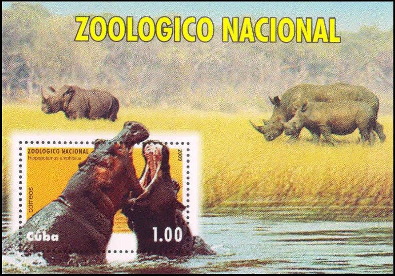CUBA 2009-National Zoo, Hippopotamus Fighting-MNH, Imperf Miniature Sheet, S.G. MS 5419