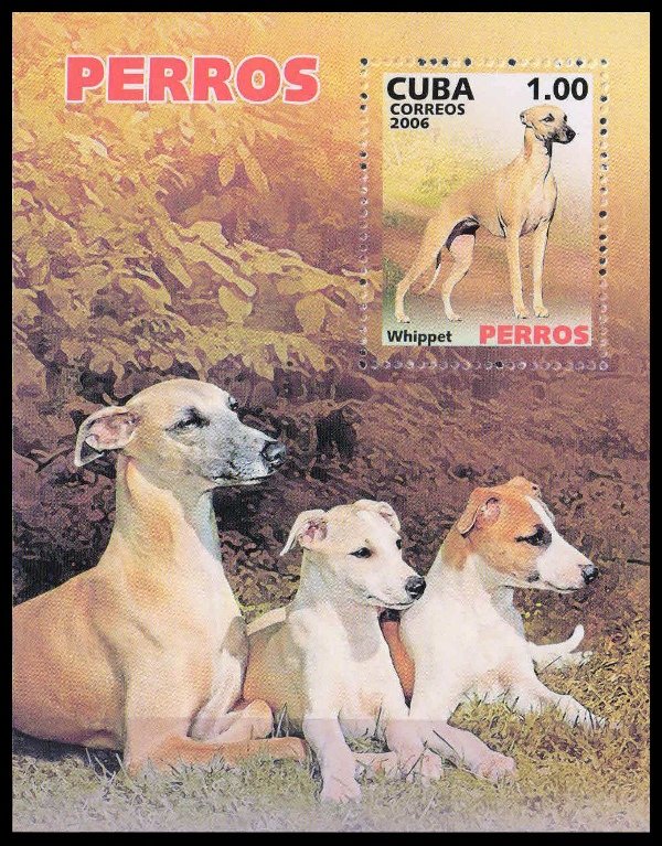 CUBA 2006-Dogs, Whippet, M/S MNH, S.G. MS 4974