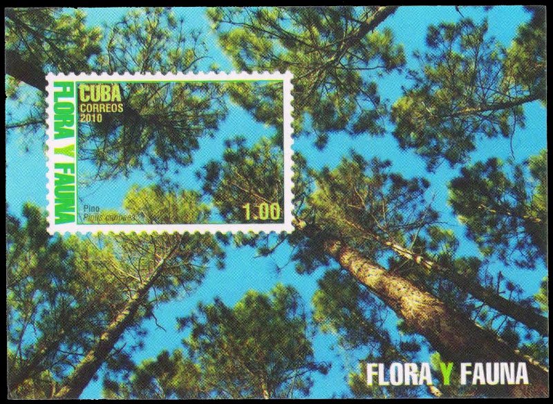 CUBA 2010-Flora & Fauna, Miniature Sheet, MNH