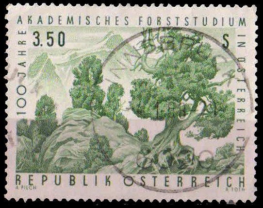 AUSTRIA 1967-Forest Trees, 1 Value, Used, S.G. 1510