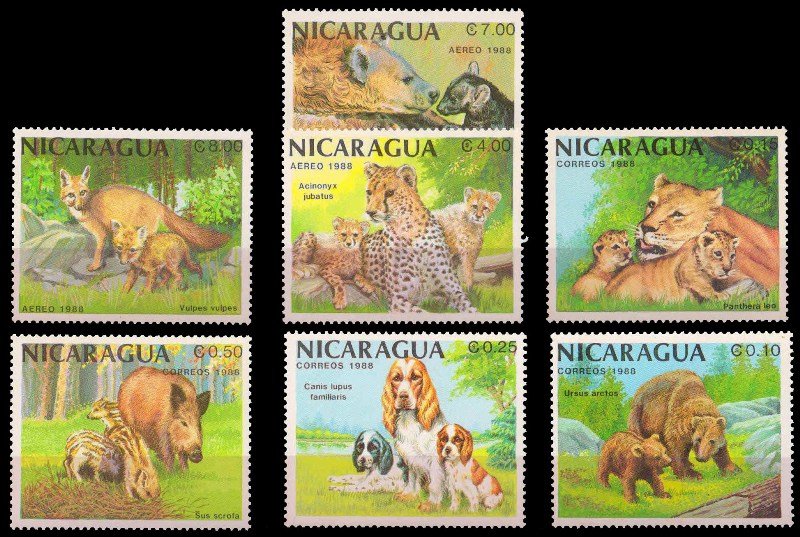 NICARAGUA 1988-Mammals & their young, Animals, Set of 7, MNH, Dogs, Tigers, Big Cat Etc. S.G. 2955-61-Cat £ 6-