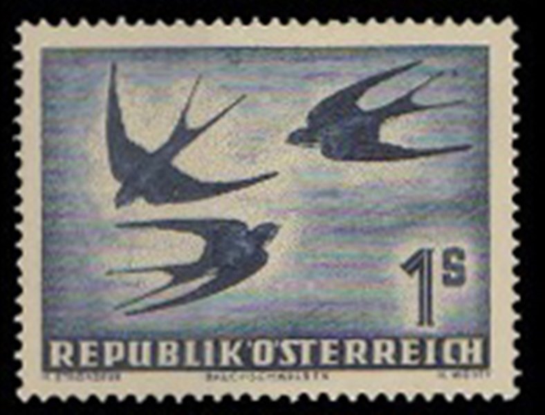 AUSTRIA 1950, Bird, Barn Swallows, 1 Value, Mint Hinged, MLH, White Gum, S.G. 1216, Cat £ 33-