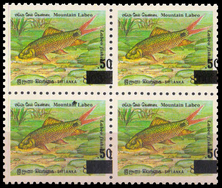 SRI LANKA 2000-Mountain Labeo Fish- Surch, 50 Cent on 8 Rs. -Error-Surcharged Shift Right Side-Scare-Block of 4, Cat � 6- each stamp-MNH-S.G. 1496