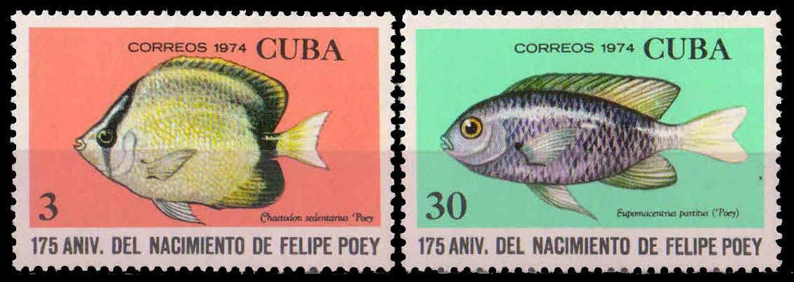 CUBA 1974-Reef Butterfly Fish & Damsel Fish, Set of 2, MNH, S.G. 2127 & 2130