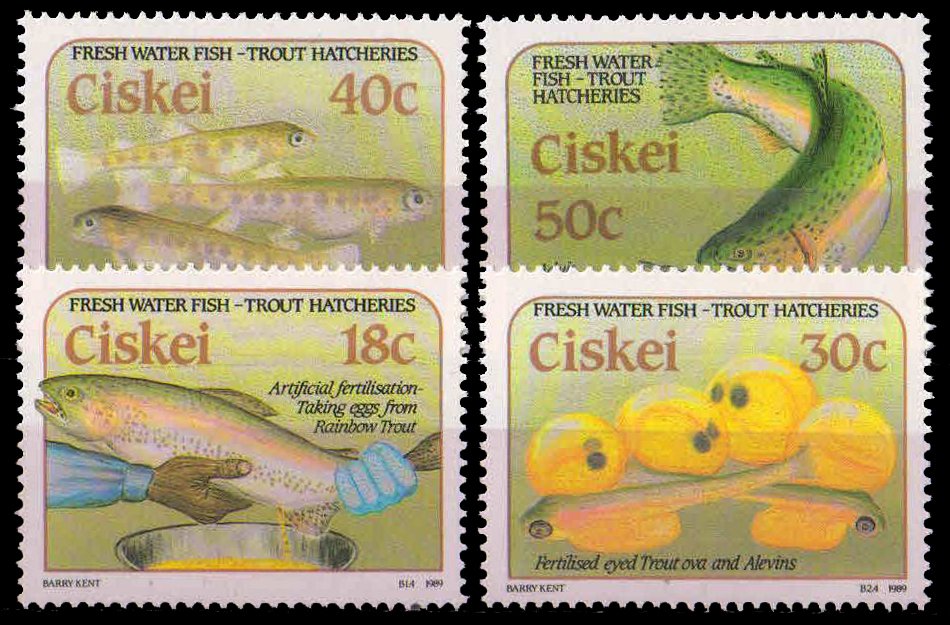 CISKEI 1989-Trout Hatcheries, Fishes, Set of 4, MNH, S.G. 149-152