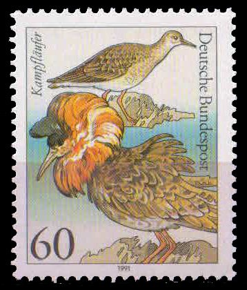 GERMANY 1991-Sea Birds, Ruffs, 1 Value, MNH, S.G. 2390