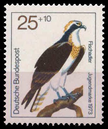 WEST GERMANY 1973, Birds of Prey, Osprey, 1 Value, MNH, S.G. 1648
