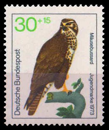 WEST GERMANY 1973, Common Buzzard, Birds of Prey, Youth Welfare, 1 Value, MNH, S.G. 1649
