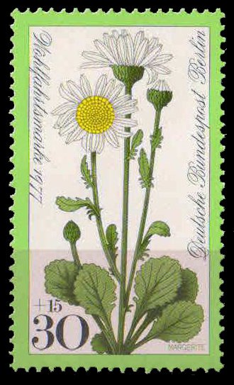 BERLIN 1977-Daisy Flower, Plant, 1 Value, MNH, S.G. B 540