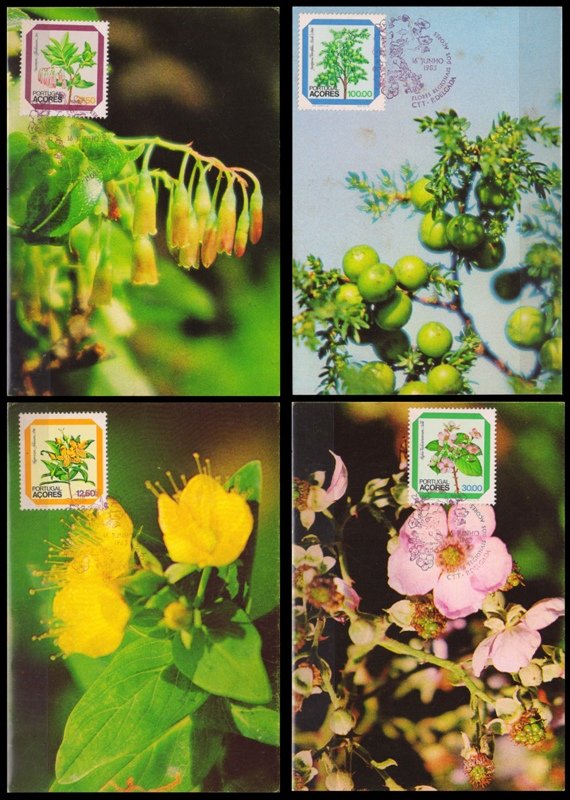 AZORES Portugal 1983-Regional Flowers, Maxim Cards 4 Different, Issued by Postal Department