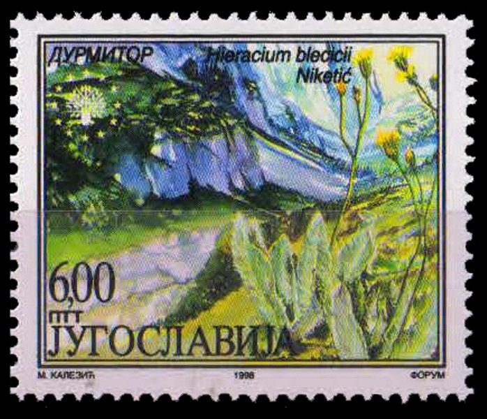 YUGOSLAVIA 1998-Nature Protection, Hieracium Blecicil, 1 Value, MNH, Cat £ 2-S.G. 3128