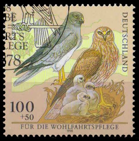 GERMANY 1998-Birds, Hen Herriers and Chicks, 1 Value, Cancelled Mint, S.G. 2870-Cat £ 2.75