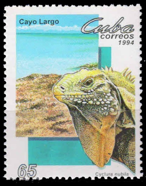 CUBA 1994-Ground Iquana, Reptile, 1 Value, MNH, S.G. 3922-Cat � 2.50