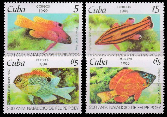 CUBA 1999-Felipe Poey, Naturalist, Fishes, Set of 4, MNH, S.G. 4347-4350-Cat � 4.65-