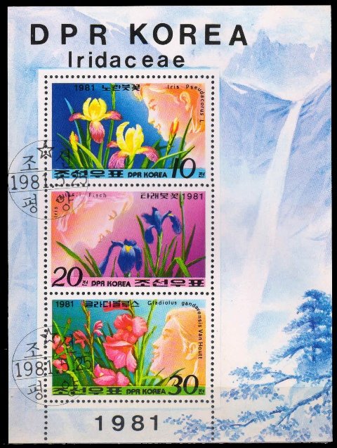 KOREA NORTH 1981-Flowers, Sheet of 3, Used, Miniature Sheet, S.G. N 2080a