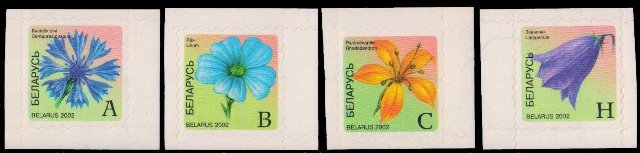 BELARUS 2002, Flowers, Set of 4, Self Adhesive, S.G. 518, 19, 22, 23-Cat � 3.50