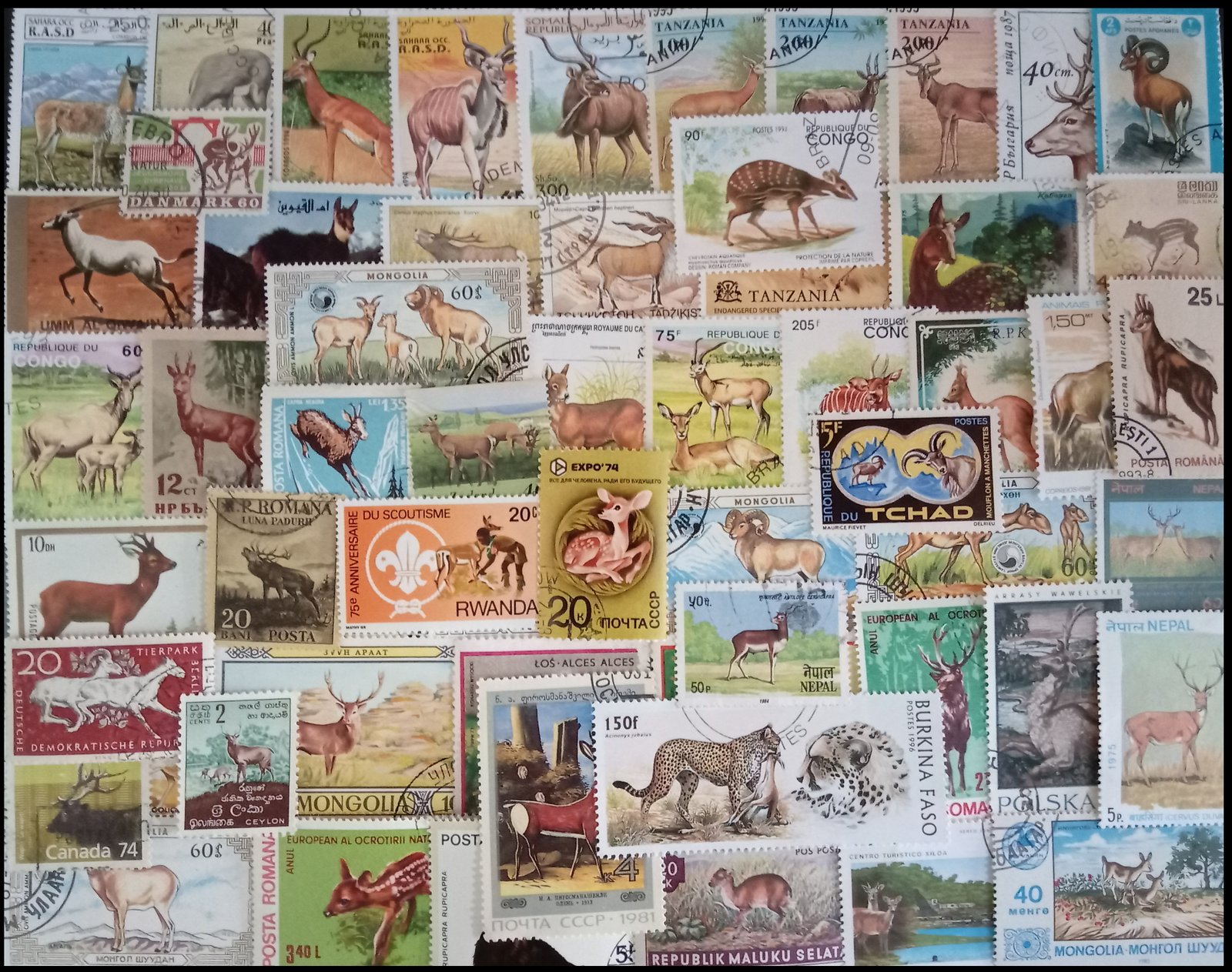 DEER ON STAMPS-Worldwide 75 All Different, Used, Large Only Stamps