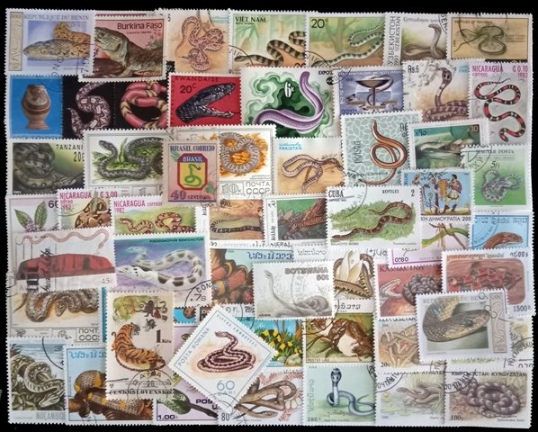 SNAKES ON STAMPS-Worldwide 80 Different Used Large Stamps
