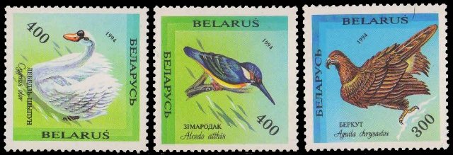 BELARUS 1994-Birds in the Red Book, Set of 3, Eagle, Swan, Kingfisher, MNH, S.G. 86-88