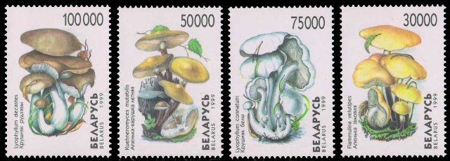 BELARUS 1999-Fungi, Mushroom, Set of 4, MNH, S.G. 358-61