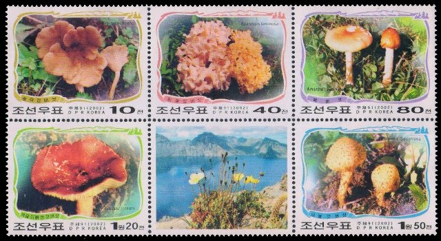 NORTH KOREA 2002-Fungi, Nature, Set of 5, MNH, S.G. N 4195-99
