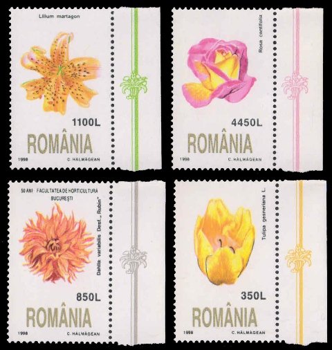 ROMANIA 1998-Flowers, Rose, Set of 4, MNH, S.G. 5973-76