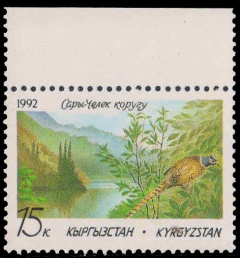 KYRGYZSTAN 1992 - Bird, Sary-C hekk Nature Reserve, 1st Stamp of Kyrgyzstan, 1 Value, MNH, S.G. 1