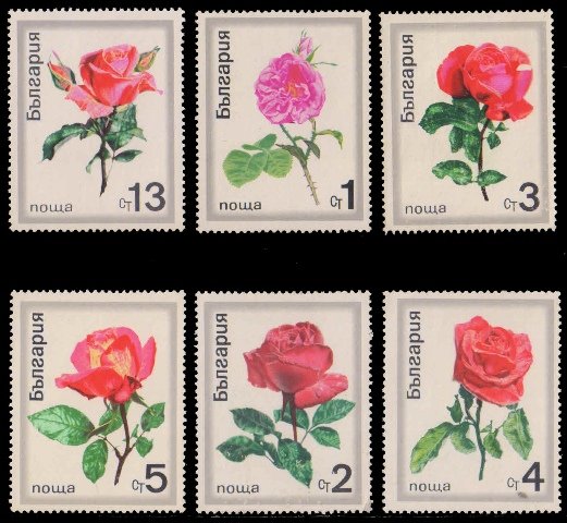 BULGARIA 1970-Roses, Set of 6, Mint, S.G. 1994-1999
