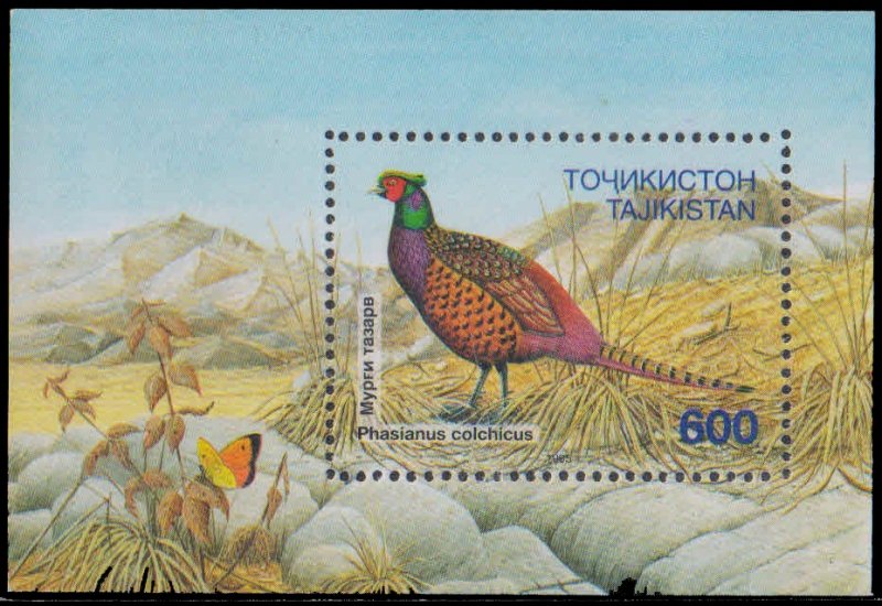 TAJIKISTAN 1996-Ring Necked Pheasant, Bird, M/S, S.G. MS 86, MNH