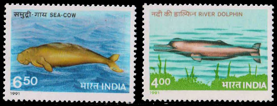 INDIA 1991-Endangered Marine Mammals, Sea Cow, River Dolphin, Set of 2, MNH, S.G. 1441-42