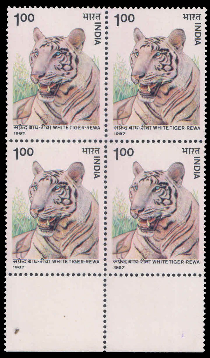 INDIA 1987-Wild Life, White Tiger, Block of 4, MNH, S.G. 1276-Cat £ 8-