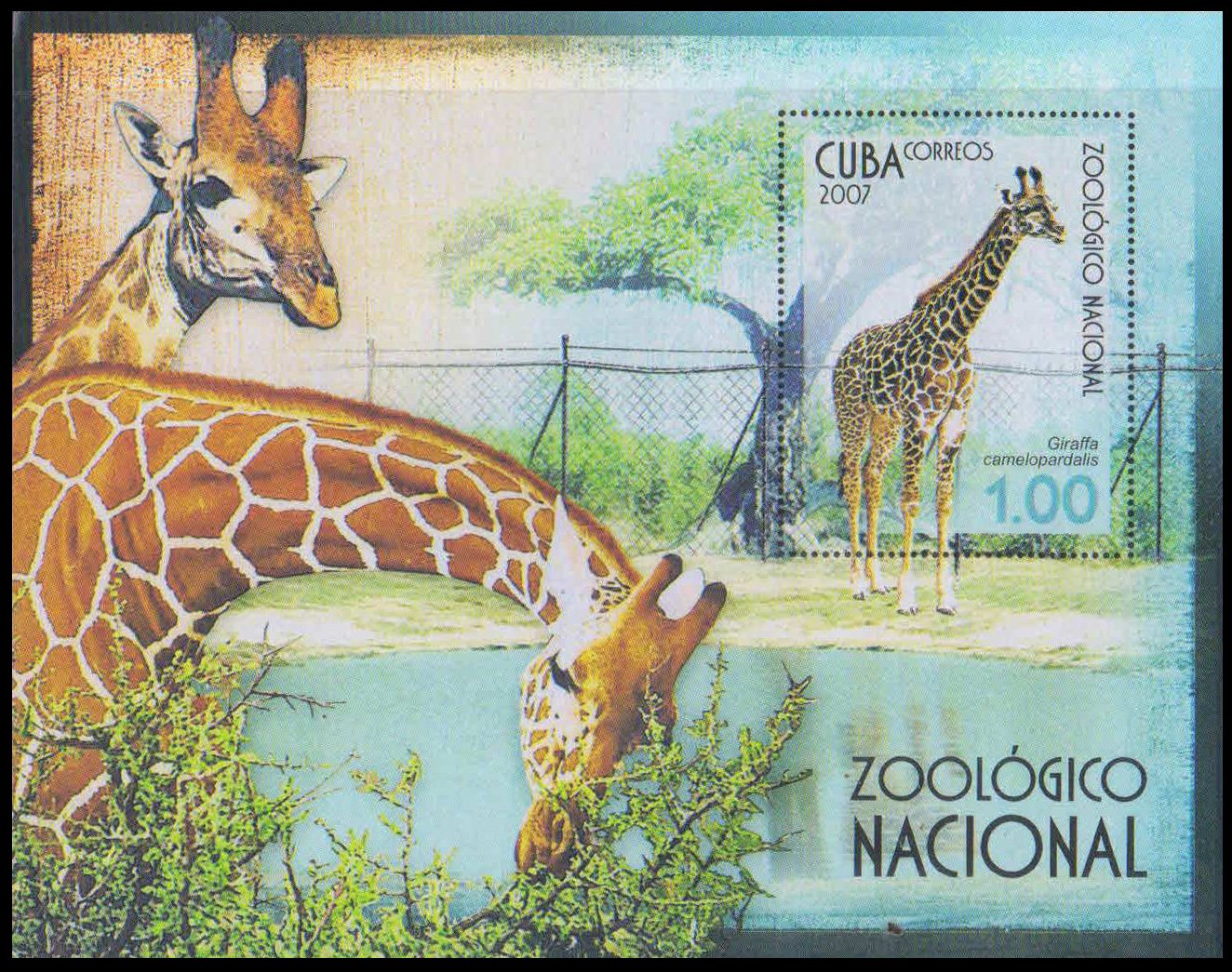 CUBA 2007-Giraffe, National Zoo, M/S, MNH, S.G. MS 5048