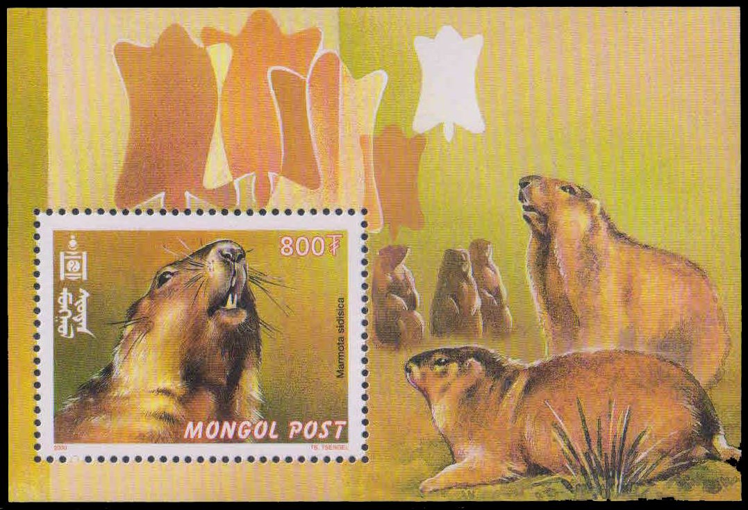 MONGOLIA 2000, Marmot Head, Animal, Miniature Sheet, MNH, S.G. 2900-Cat � 12.50