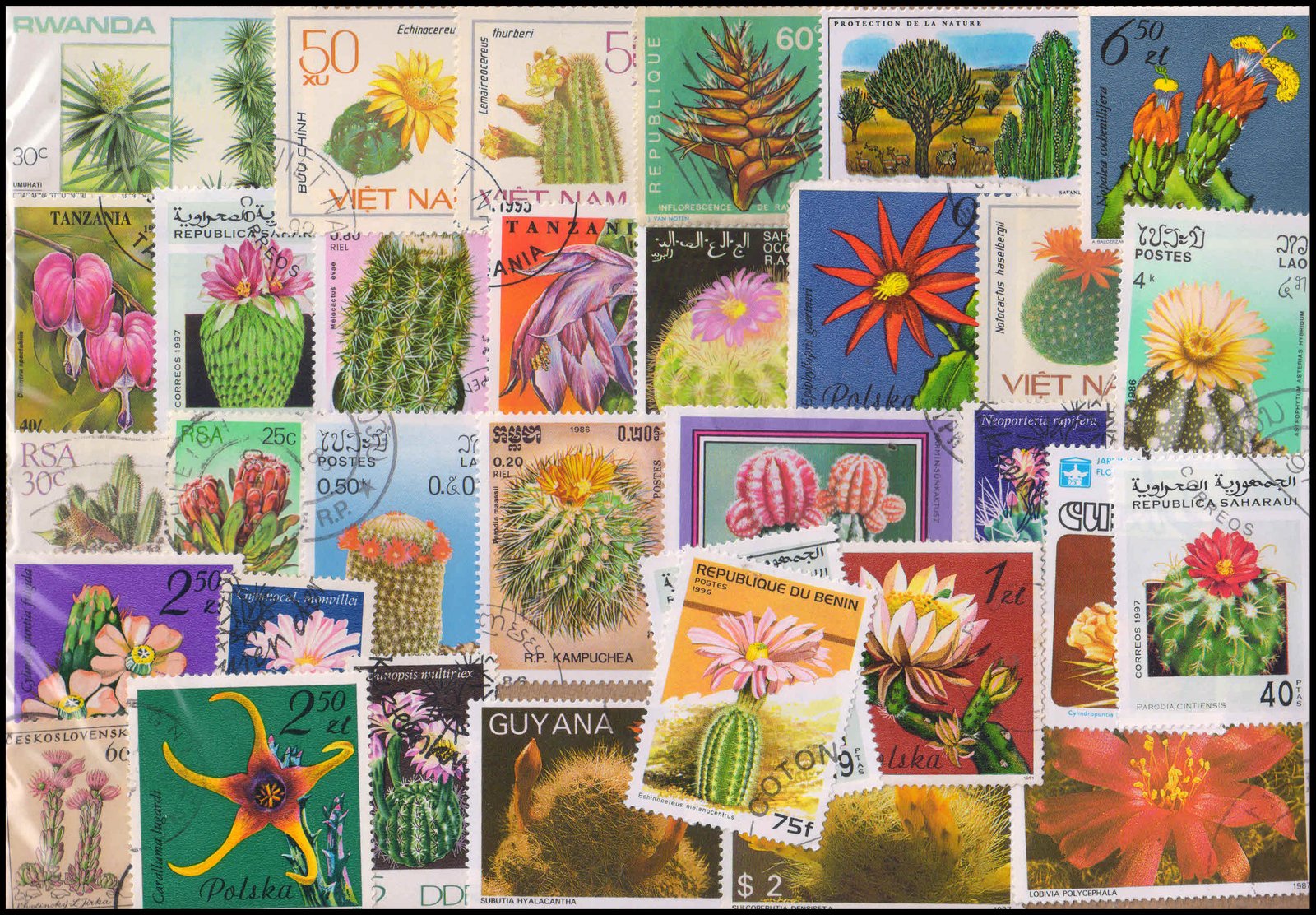 CAICTUS ON STAMPS-Worldwide 50 Different