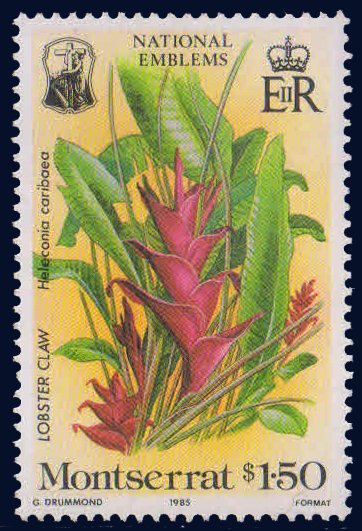 MONTSERRAT 1985-Lobster Claw Plant, Flower & Leaves, 1 Value, MNH, Face $ 1.50-S.G. 629