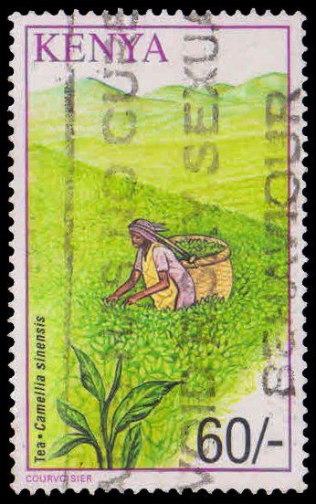KENYA 2001-Crops, Agriculture, Tea, 1 Value, Used, S.G. 780