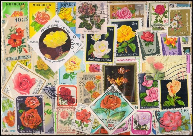 ROSES (Flower) on Stamps, 200 Different From Worldwide, Mostly Large