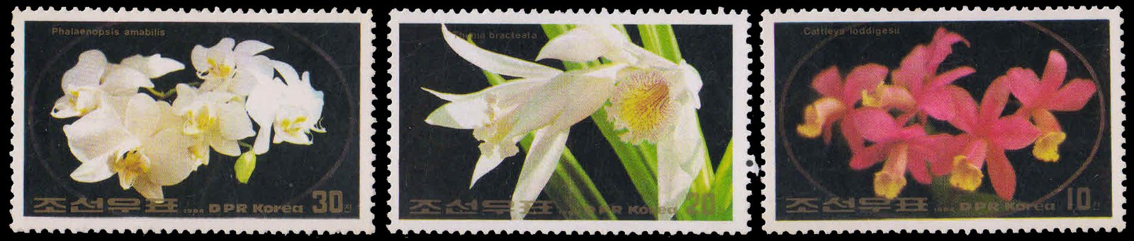 NORTH KOREA  1984-Flowers, Set of 3, MNH, S.G. N 2414-16