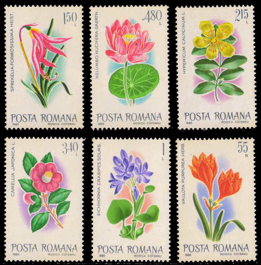 ROMANIA 1980-Exotic Flowers from Buchorest Botanical Garden, Rose, Lotus, Lily, Set of 6, MNH, S.G. 4573-78