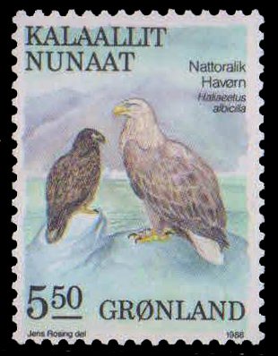 GREENLAND 1987-White Tailed Sea Eagles, Bird, 1 Value, MNH, S.G. 178
