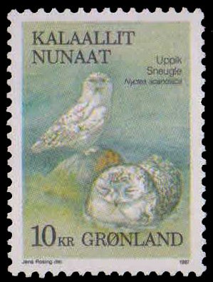 GREENLAND 1987-Snowy Owl, Bird, 1 Value, MNH, S.G. 183