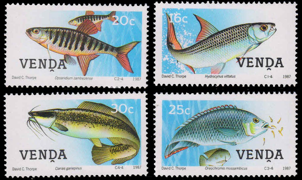 VENDA 1987-Fresh Water Fish, Marine Life, Cat Fish, Set of 4, MNH, S.G. 159-162