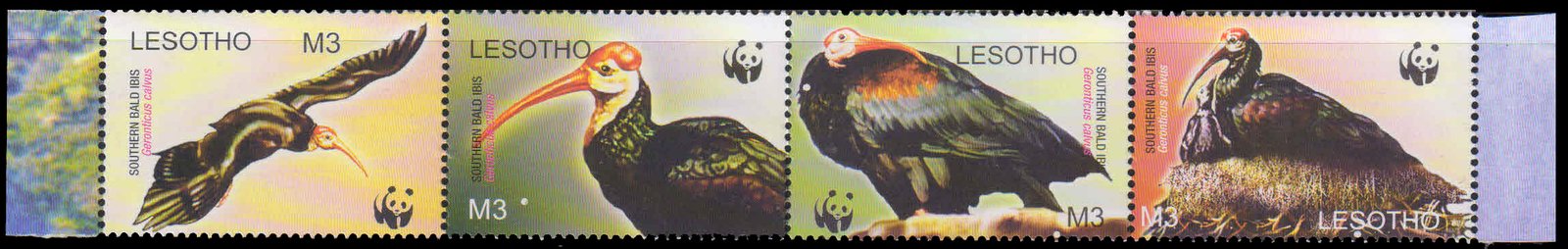 LESOTHO 2004-Bald Ibis-Birds-Endangered Species-Strip of 4, MNH, S.G. 1934-1937-Cat £ 8-