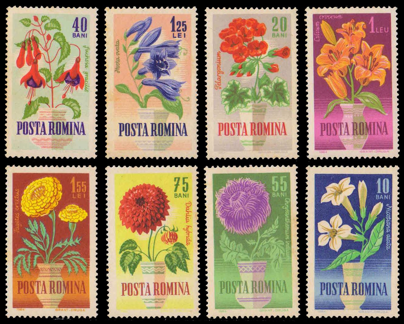 ROMANIA 1964-Flowers, Set of 8, MNH, S.G. 3134-41-Cat £ 8-
